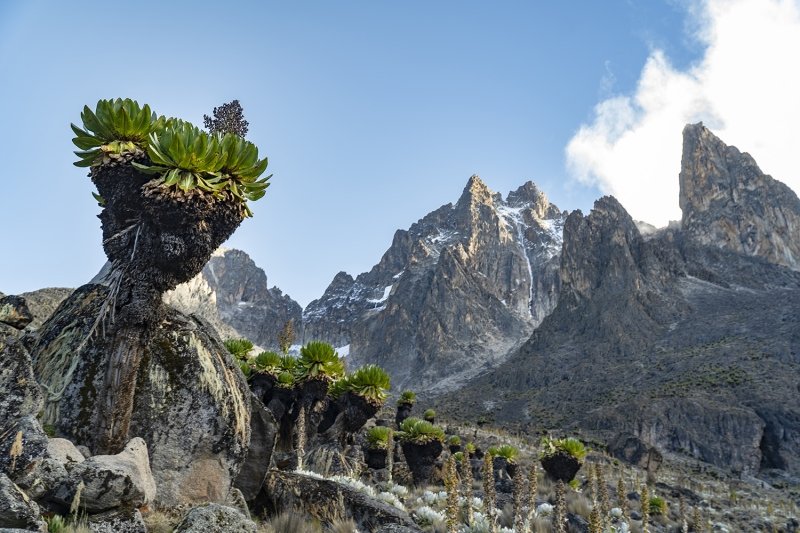 International Mountain Day 2026 International Mountain Day speech International Mountain Day activities International Mountain Day logo