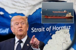 Trump tells allies to get your own oil statement 2026